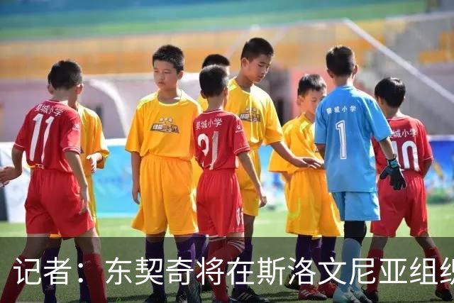 记者：东契奇将在斯洛文尼亚组织湖人全队迷你训练营